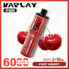 Vaplay VP6000 Puffs Prefilled Pod Kit