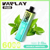 Vaplay VP6000 Puffs Prefilled Pod Kit