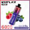 Vaplay VP6000 Puffs Prefilled Pod Kit