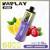 Vaplay VP6000 Puffs Prefilled Pod Kit