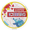 Iceberg Nicotine Pouches Medium Strength (Box of 5)