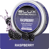 Elux Nicotine Pouches (Box of 10)
