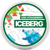Iceberg Nicotine Pouches Medium Strength (Box of 5)