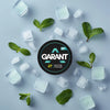 Garant Nicotine Pouches Box of 10